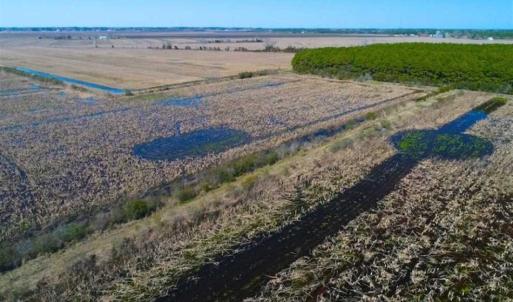 Photo of SOLD!!  72.5 Acres of Productive Farm Land and Duck Impoundment For Sale in Hyde County NC!