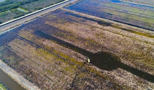 Photo of SOLD!!  72.5 Acres of Productive Farm Land and Duck Impoundment For Sale in Hyde County NC!