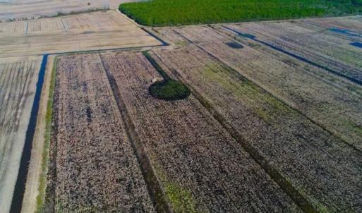 Photo of SOLD!!  72.5 Acres of Productive Farm Land and Duck Impoundment For Sale in Hyde County NC!