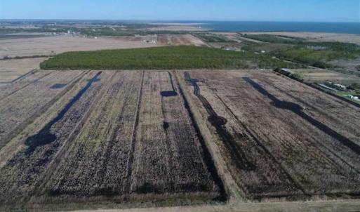 Photo of SOLD!!  72.5 Acres of Productive Farm Land and Duck Impoundment For Sale in Hyde County NC!