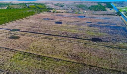 Photo of SOLD!!  72.5 Acres of Productive Farm Land and Duck Impoundment For Sale in Hyde County NC!