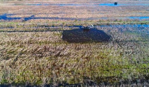 Photo of SOLD!!  72.5 Acres of Productive Farm Land and Duck Impoundment For Sale in Hyde County NC!