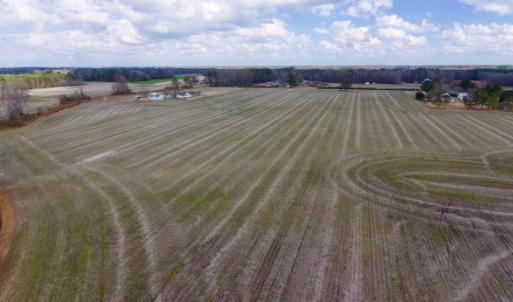 Photo of UNDER CONTRACT!  56.35 Acres of Farm and Timber Land For Sale in Edgecombe County NC!