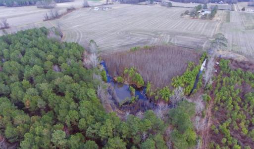 Photo of UNDER CONTRACT!  56.35 Acres of Farm and Timber Land For Sale in Edgecombe County NC!