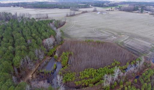Photo of UNDER CONTRACT!  56.35 Acres of Farm and Timber Land For Sale in Edgecombe County NC!