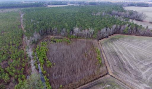Photo of UNDER CONTRACT!  56.35 Acres of Farm and Timber Land For Sale in Edgecombe County NC!