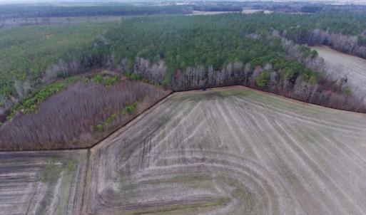 Photo of UNDER CONTRACT!  56.35 Acres of Farm and Timber Land For Sale in Edgecombe County NC!