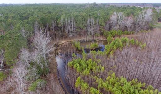 Photo of UNDER CONTRACT!  56.35 Acres of Farm and Timber Land For Sale in Edgecombe County NC!