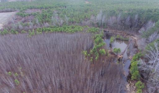 Photo of UNDER CONTRACT!  56.35 Acres of Farm and Timber Land For Sale in Edgecombe County NC!