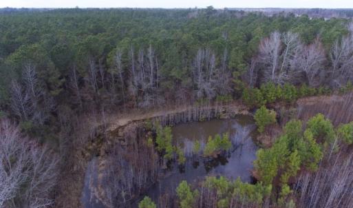 Photo of UNDER CONTRACT!  56.35 Acres of Farm and Timber Land For Sale in Edgecombe County NC!