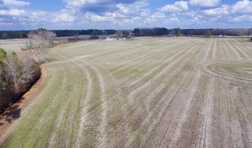 Photo of UNDER CONTRACT!  56.35 Acres of Farm and Timber Land For Sale in Edgecombe County NC!
