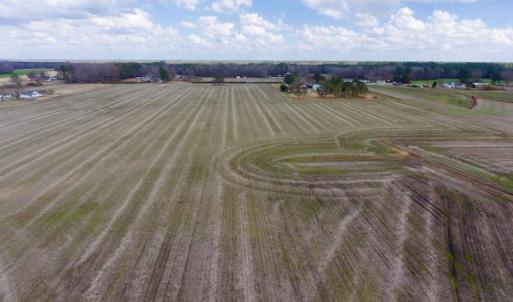 Photo of UNDER CONTRACT!  56.35 Acres of Farm and Timber Land For Sale in Edgecombe County NC!