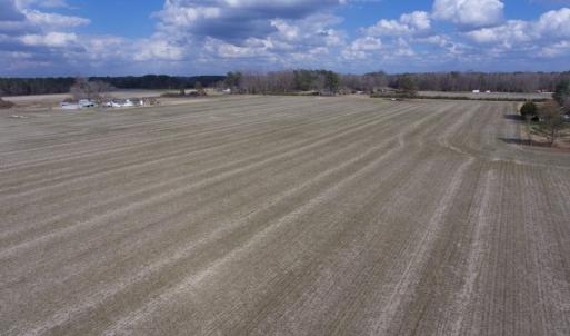 Photo of UNDER CONTRACT!  56.35 Acres of Farm and Timber Land For Sale in Edgecombe County NC!