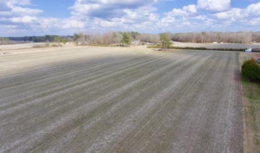 Photo of UNDER CONTRACT!  56.35 Acres of Farm and Timber Land For Sale in Edgecombe County NC!