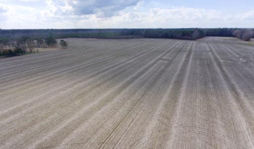 Photo of UNDER CONTRACT!  56.35 Acres of Farm and Timber Land For Sale in Edgecombe County NC!