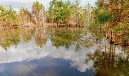 Photo of UNDER CONTRACT!  56.35 Acres of Farm and Timber Land For Sale in Edgecombe County NC!