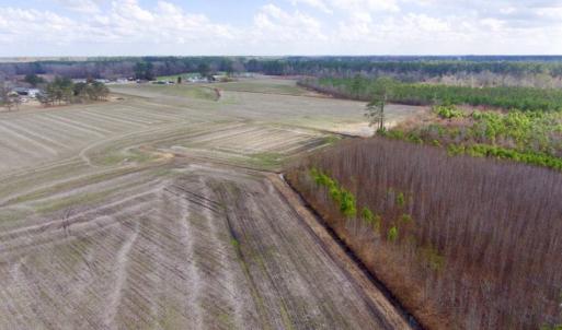 Photo of UNDER CONTRACT!  56.35 Acres of Farm and Timber Land For Sale in Edgecombe County NC!