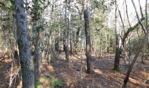 Photo of UNDER CONTRACT!  56.35 Acres of Farm and Timber Land For Sale in Edgecombe County NC!