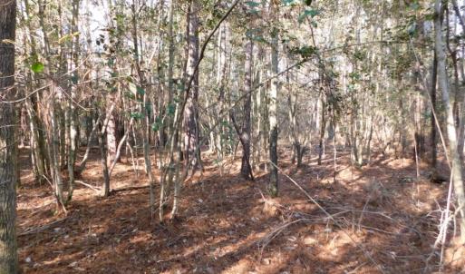 Photo of UNDER CONTRACT!  56.35 Acres of Farm and Timber Land For Sale in Edgecombe County NC!