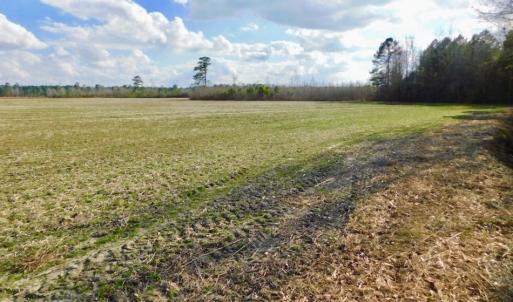 Photo of UNDER CONTRACT!  56.35 Acres of Farm and Timber Land For Sale in Edgecombe County NC!