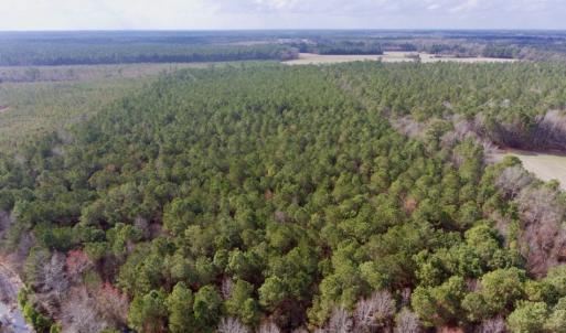 Photo of UNDER CONTRACT!  56.35 Acres of Farm and Timber Land For Sale in Edgecombe County NC!