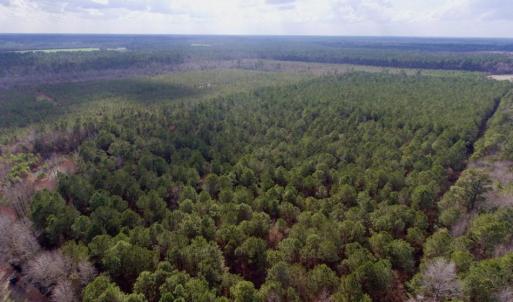 Photo of UNDER CONTRACT!  56.35 Acres of Farm and Timber Land For Sale in Edgecombe County NC!