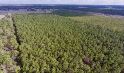 Photo of UNDER CONTRACT!  56.35 Acres of Farm and Timber Land For Sale in Edgecombe County NC!
