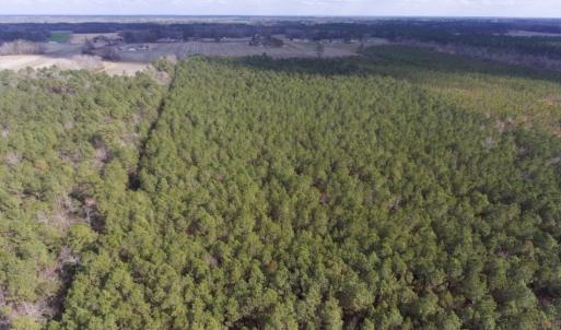 Photo of UNDER CONTRACT!  56.35 Acres of Farm and Timber Land For Sale in Edgecombe County NC!