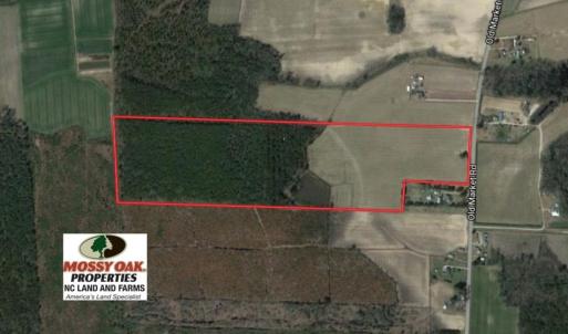 Photo of UNDER CONTRACT!  56.35 Acres of Farm and Timber Land For Sale in Edgecombe County NC!