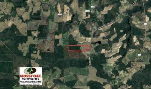 Photo of UNDER CONTRACT!  56.35 Acres of Farm and Timber Land For Sale in Edgecombe County NC!