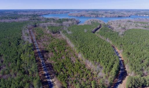 Photo of UNDER CONTRACT!  13.79 Acres of Timber and Residential Land For Sale in Warren County NC!