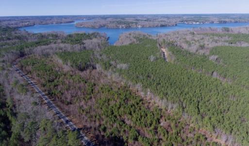 Photo of UNDER CONTRACT!  13.79 Acres of Timber and Residential Land For Sale in Warren County NC!