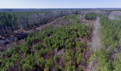 Photo of UNDER CONTRACT!  13.79 Acres of Timber and Residential Land For Sale in Warren County NC!
