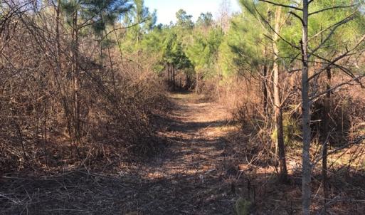 Photo of UNDER CONTRACT!  13.79 Acres of Timber and Residential Land For Sale in Warren County NC!
