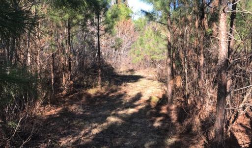 Photo of UNDER CONTRACT!  13.79 Acres of Timber and Residential Land For Sale in Warren County NC!
