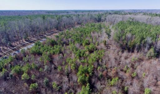 Photo of UNDER CONTRACT!  13.79 Acres of Timber and Residential Land For Sale in Warren County NC!