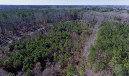 Photo of UNDER CONTRACT!  13.79 Acres of Timber and Residential Land For Sale in Warren County NC!
