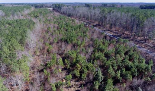 Photo of UNDER CONTRACT!  13.79 Acres of Timber and Residential Land For Sale in Warren County NC!
