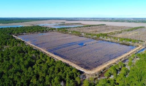 Photo of UNDER CONTRACT!  151 Acres of Duck Hunting Land with Home Site in Hyde County NC!