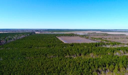 Photo of UNDER CONTRACT!  151 Acres of Duck Hunting Land with Home Site in Hyde County NC!