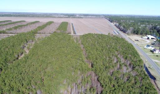 Photo of UNDER CONTRACT!  151 Acres of Duck Hunting Land with Home Site in Hyde County NC!