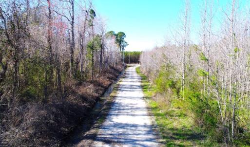 Photo of UNDER CONTRACT!  151 Acres of Duck Hunting Land with Home Site in Hyde County NC!