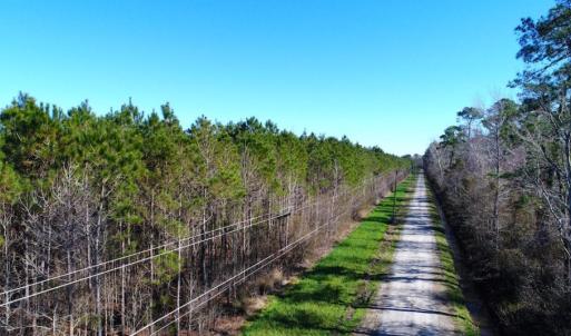 Photo of UNDER CONTRACT!  151 Acres of Duck Hunting Land with Home Site in Hyde County NC!