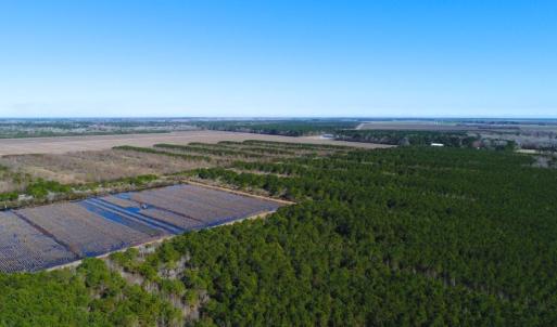 Photo of UNDER CONTRACT!  151 Acres of Duck Hunting Land with Home Site in Hyde County NC!