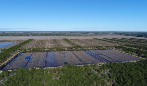 Photo of UNDER CONTRACT!  151 Acres of Duck Hunting Land with Home Site in Hyde County NC!