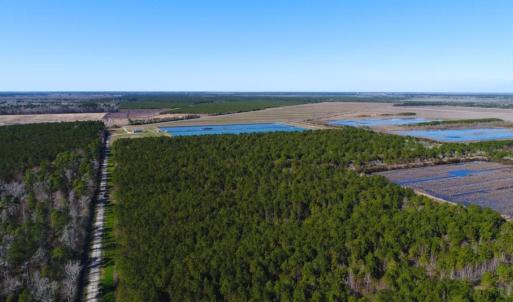 Photo of UNDER CONTRACT!  151 Acres of Duck Hunting Land with Home Site in Hyde County NC!