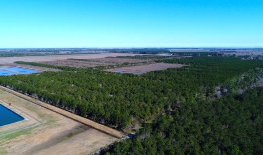 Photo of UNDER CONTRACT!  151 Acres of Duck Hunting Land with Home Site in Hyde County NC!