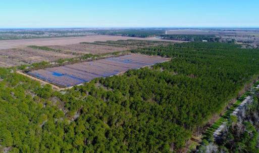 Photo of UNDER CONTRACT!  151 Acres of Duck Hunting Land with Home Site in Hyde County NC!