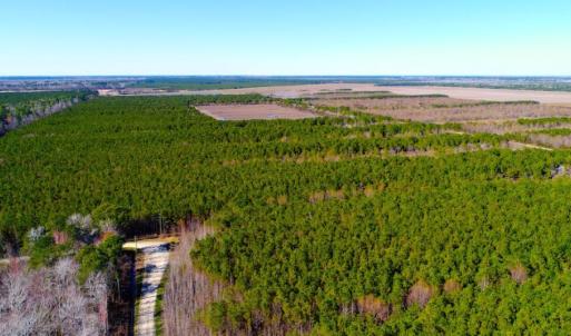 Photo of UNDER CONTRACT!  151 Acres of Duck Hunting Land with Home Site in Hyde County NC!