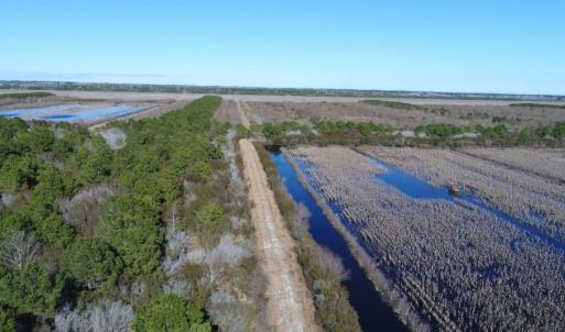 Photo of UNDER CONTRACT!  151 Acres of Duck Hunting Land with Home Site in Hyde County NC!
